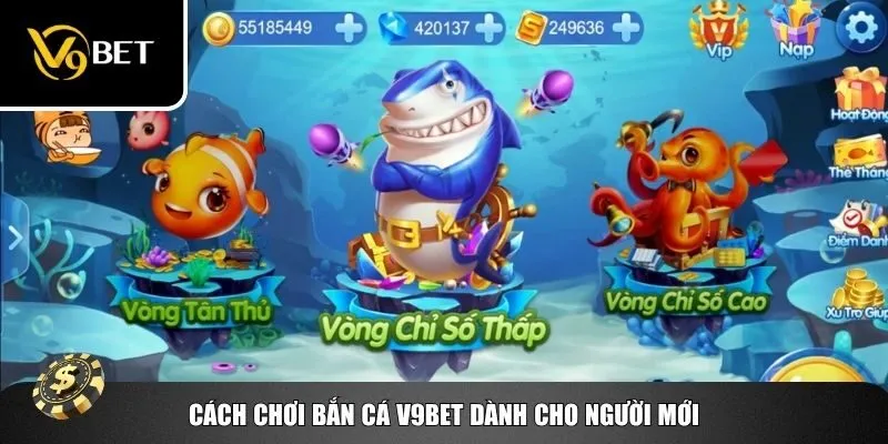 Hướng dẫn tân thủ cách chơi bắn cá tại V9bet